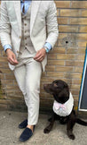 Cream Linen Dog Wedding Suit