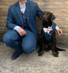 Blinder Blue Tweed Dog Suit