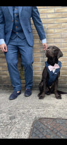 Blinder Blue Tweed Dog Suit