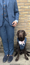Blinder Blue Tweed Dog Suit