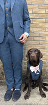 Blinder Blue Tweed Dog Suit