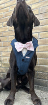 Blinder Blue Tweed Dog Suit